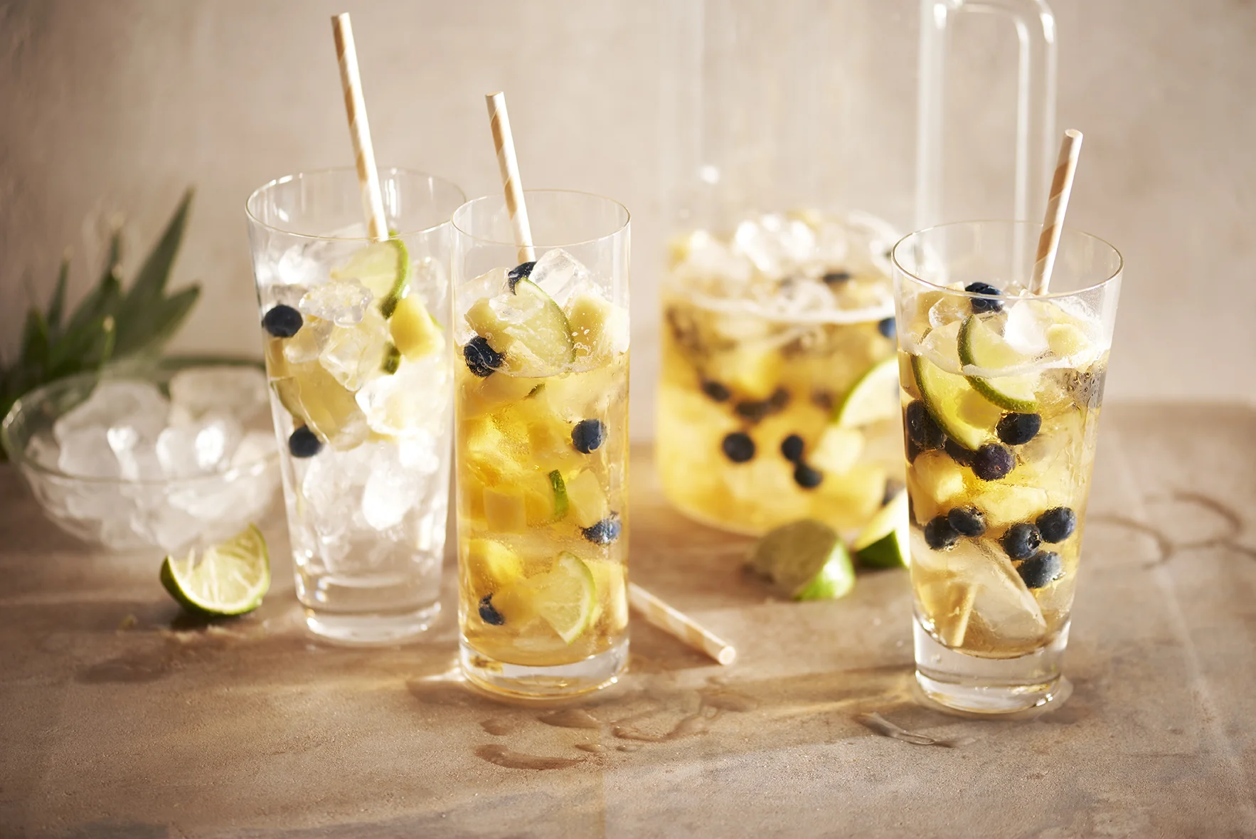 PC_Lemonade Iced Tea Sangria.jpg