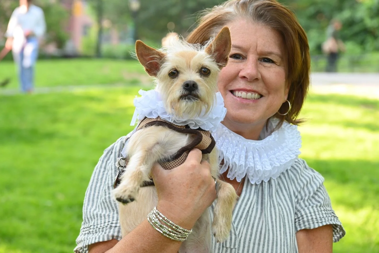 It&rsquo;s National Dress Up Your Pet Day, so we&rsquo;re throwing it back to last year&rsquo;s Dog Night! 🐶

Shakespeare in the Park, a full lawn, and dogs everywhere&mdash;some in costume, some very much not. The performances were lively and the p