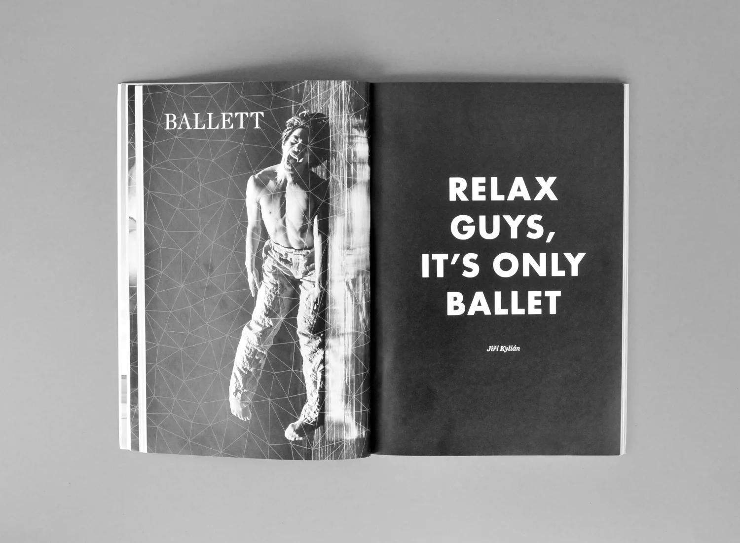 sesongbok14-15-spread-ballett.jpg