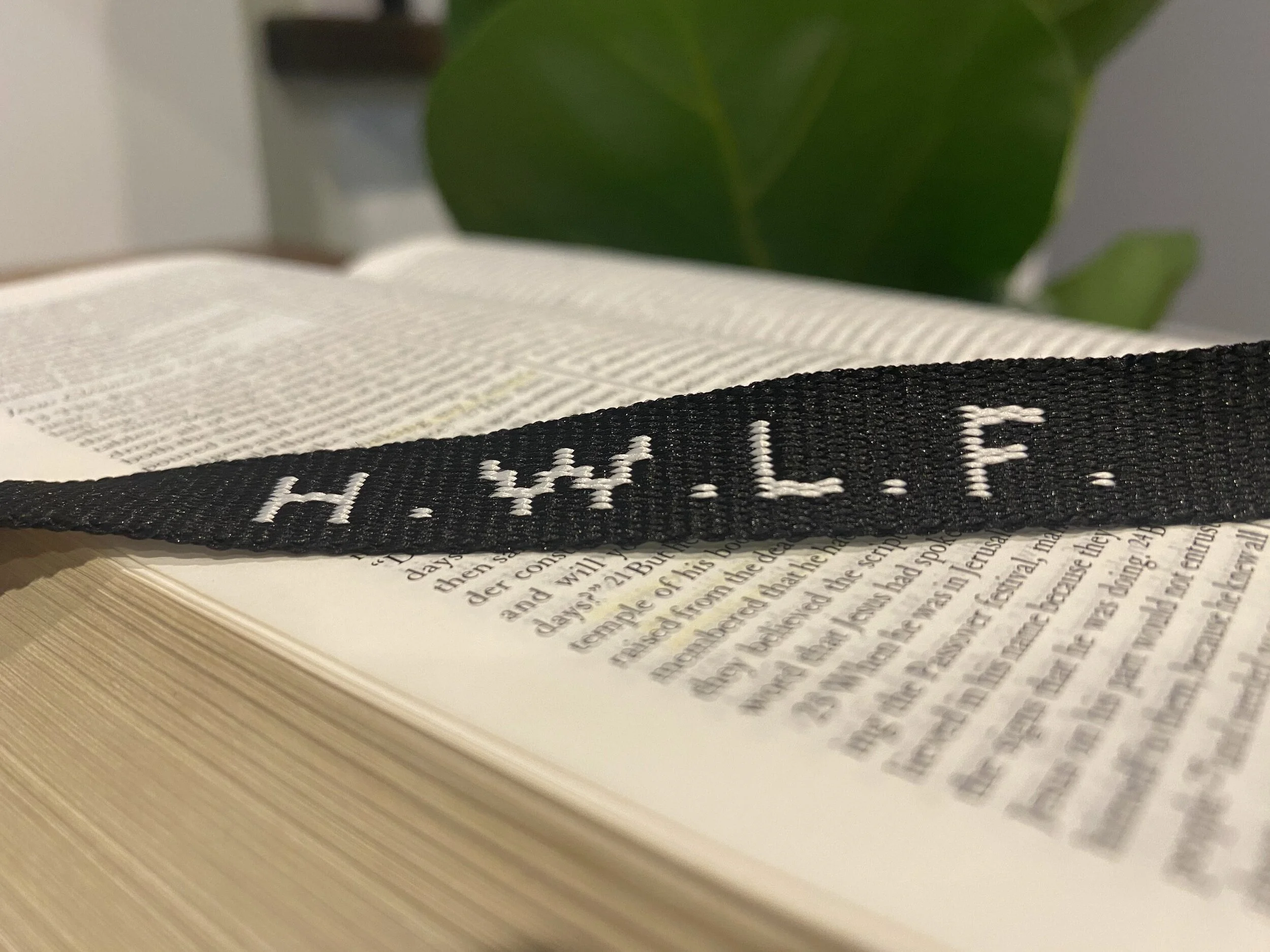 WWJD?.....HWLF