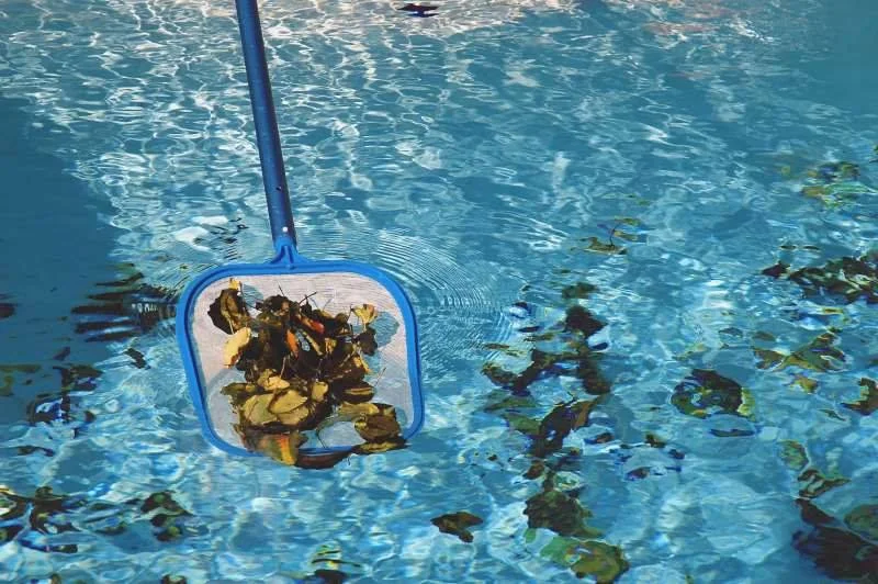 Seasonal Pool Service
