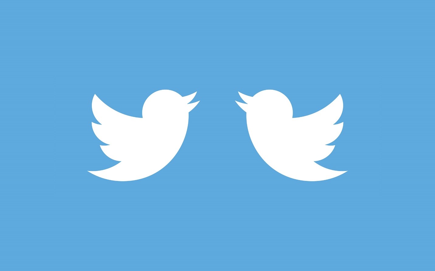 What two Twitter accounts might look like.