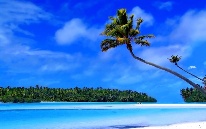 Changing your screensaver image can decrease those spring break blues.