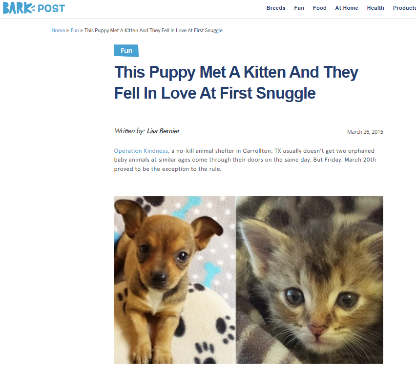 news clipping of a kitty and a puppy