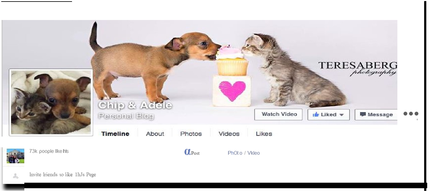 puppy and kitty eating a cupcake