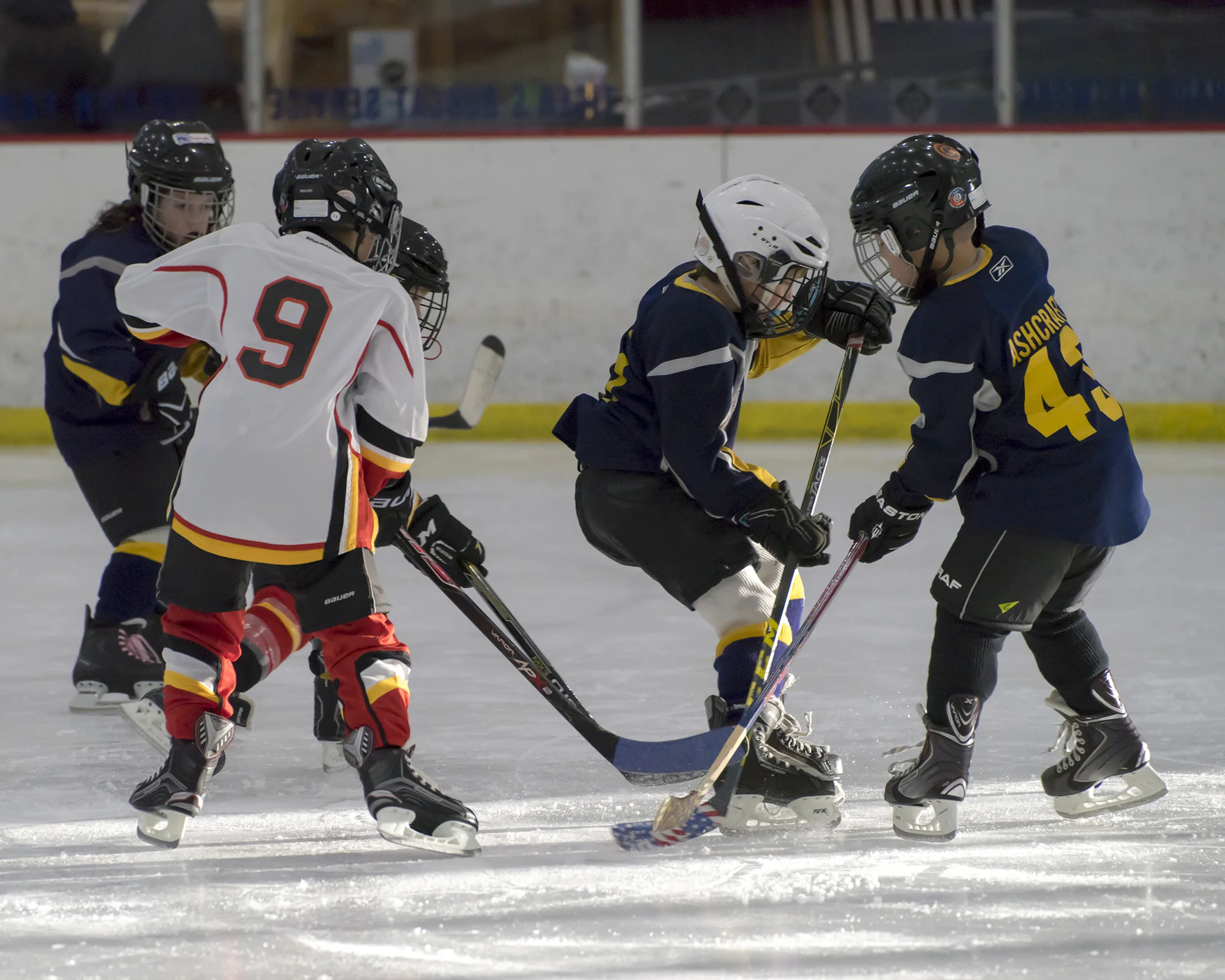 DSC04788-7web.jpg