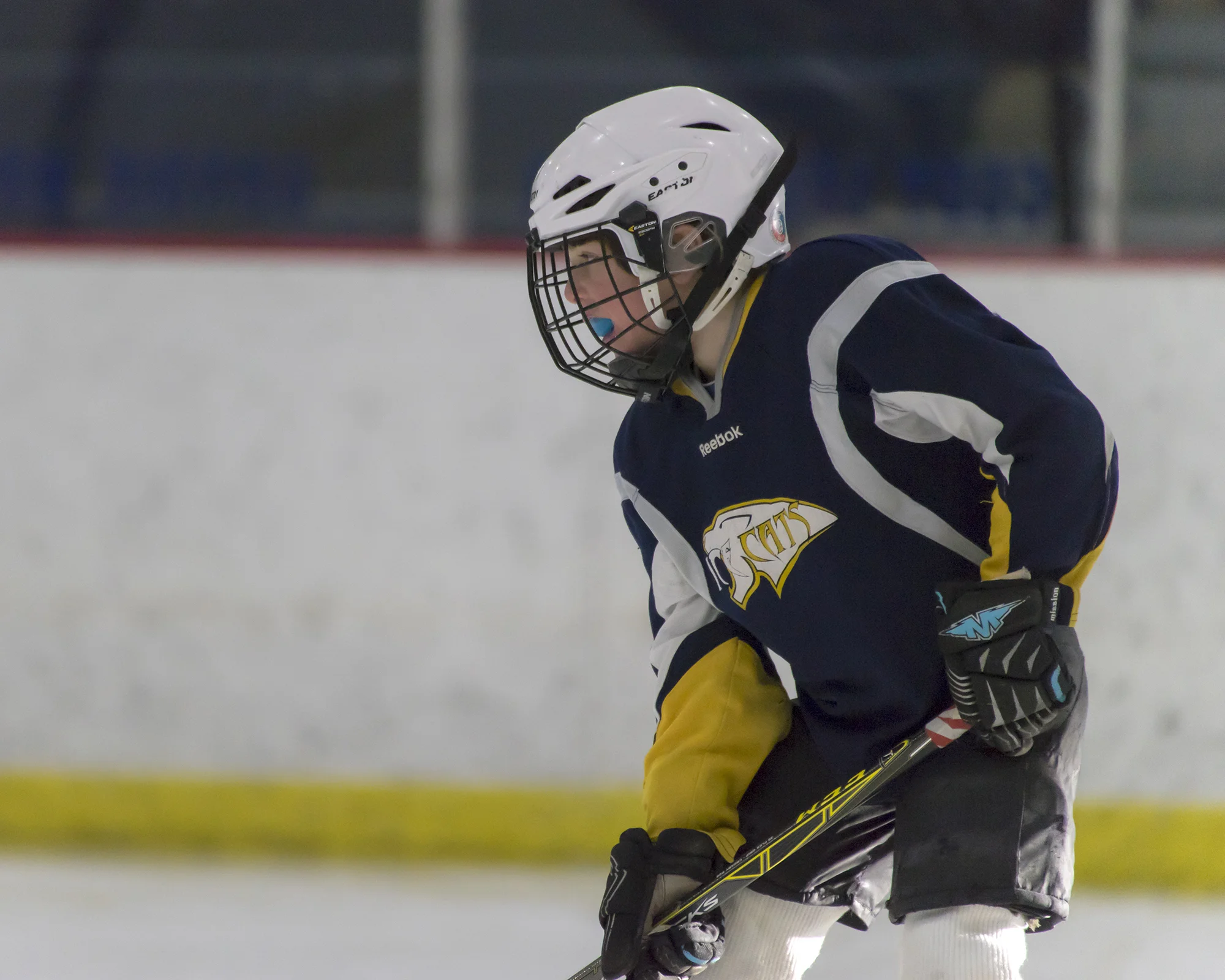 DSC04807-10web.jpg