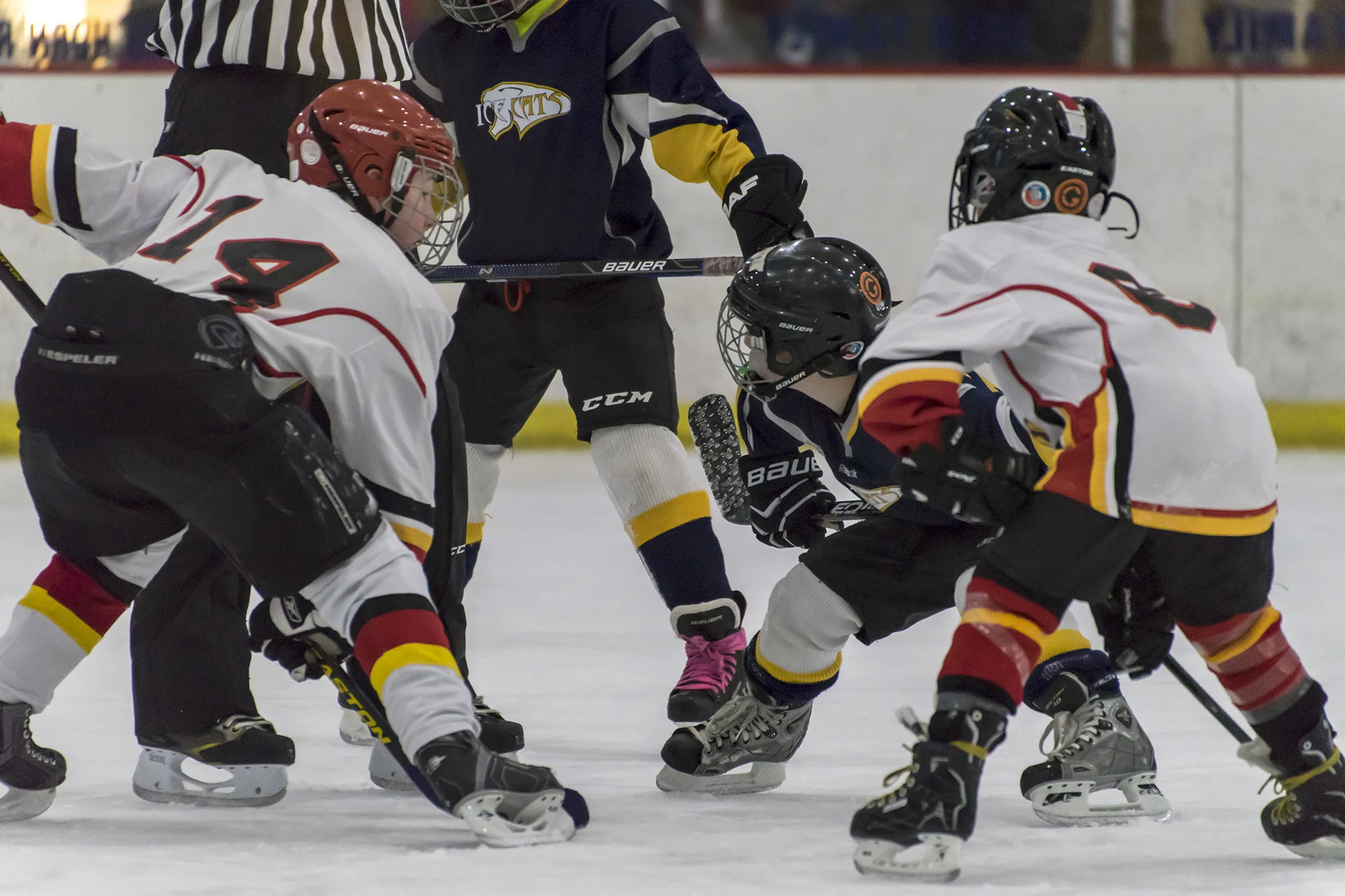 DSC04961-25web.jpg