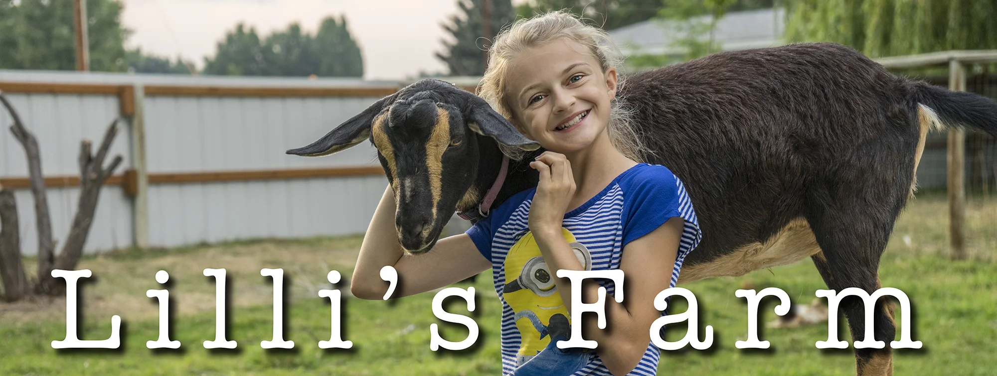 web banner lillis farm_webres.jpg