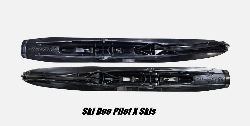 SkiDooPilotX.JPG