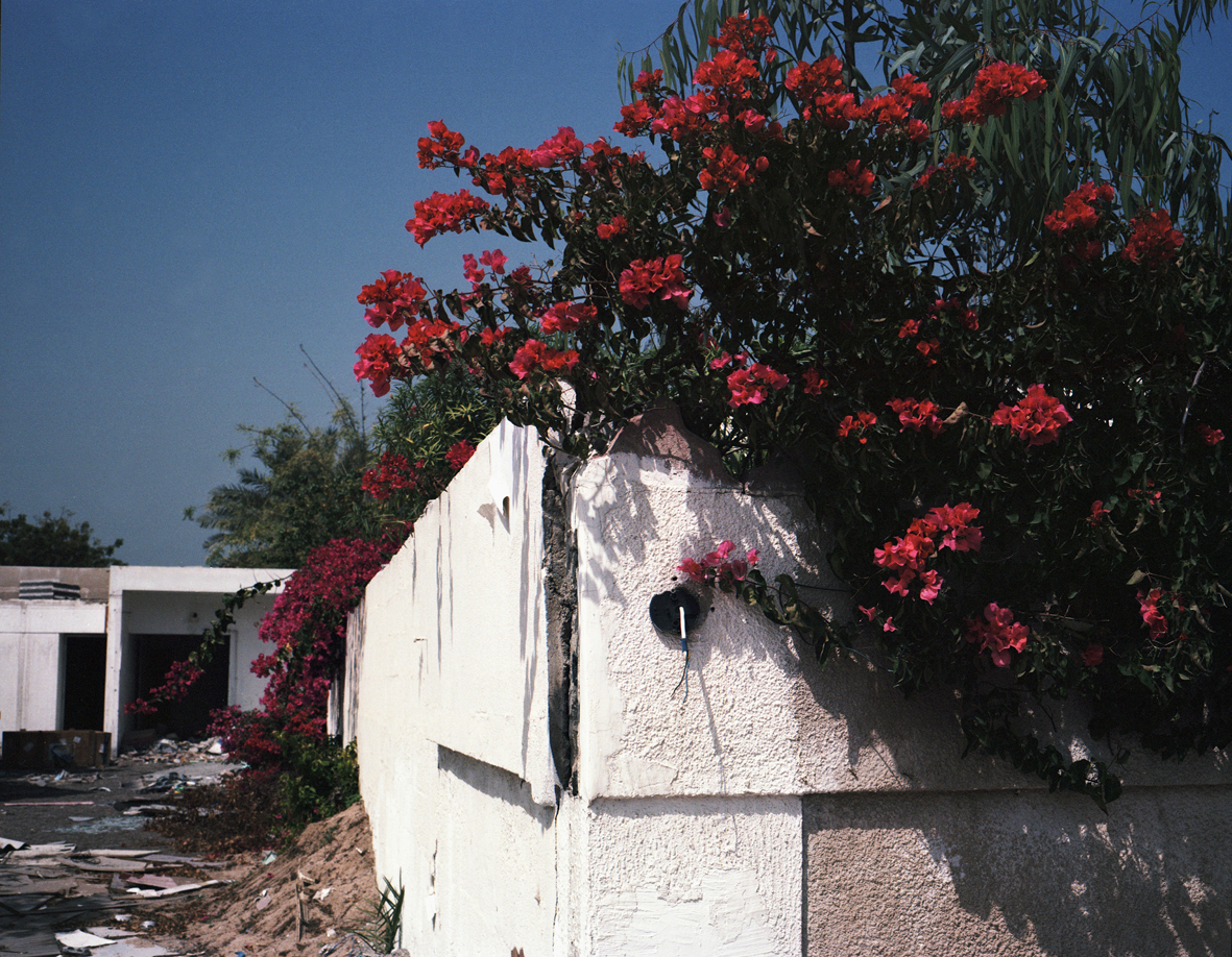 Untitled-12 2.jpg