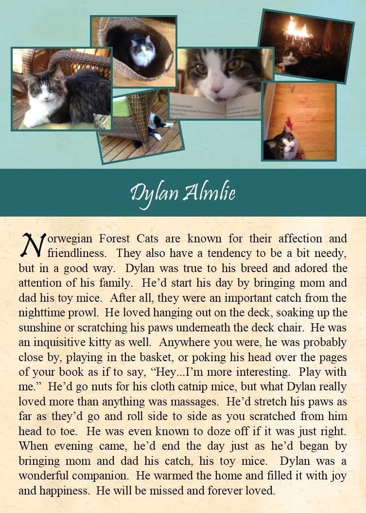 2017-09-20 Dylan Almlie.jpg