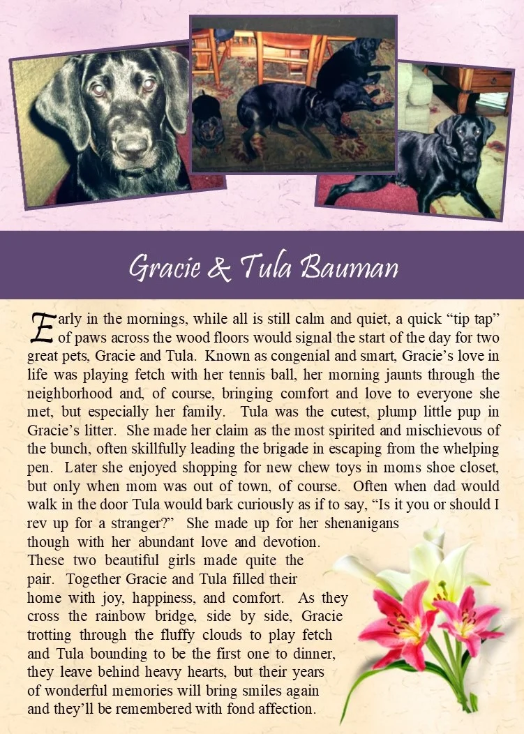 2017-10-17 Gracie & Tula Bauman.jpg