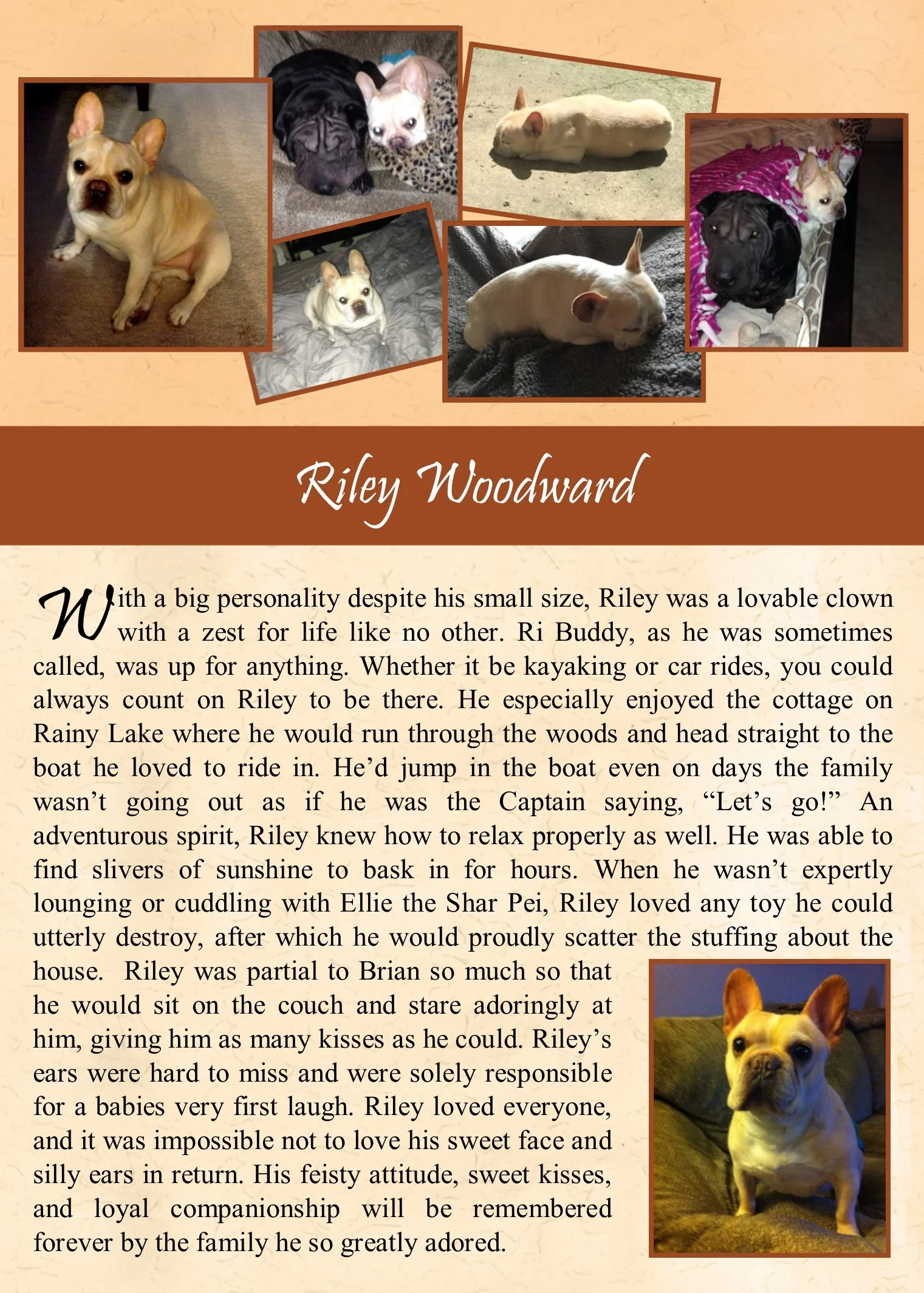 2017-12-2 Riley Woodward.jpg