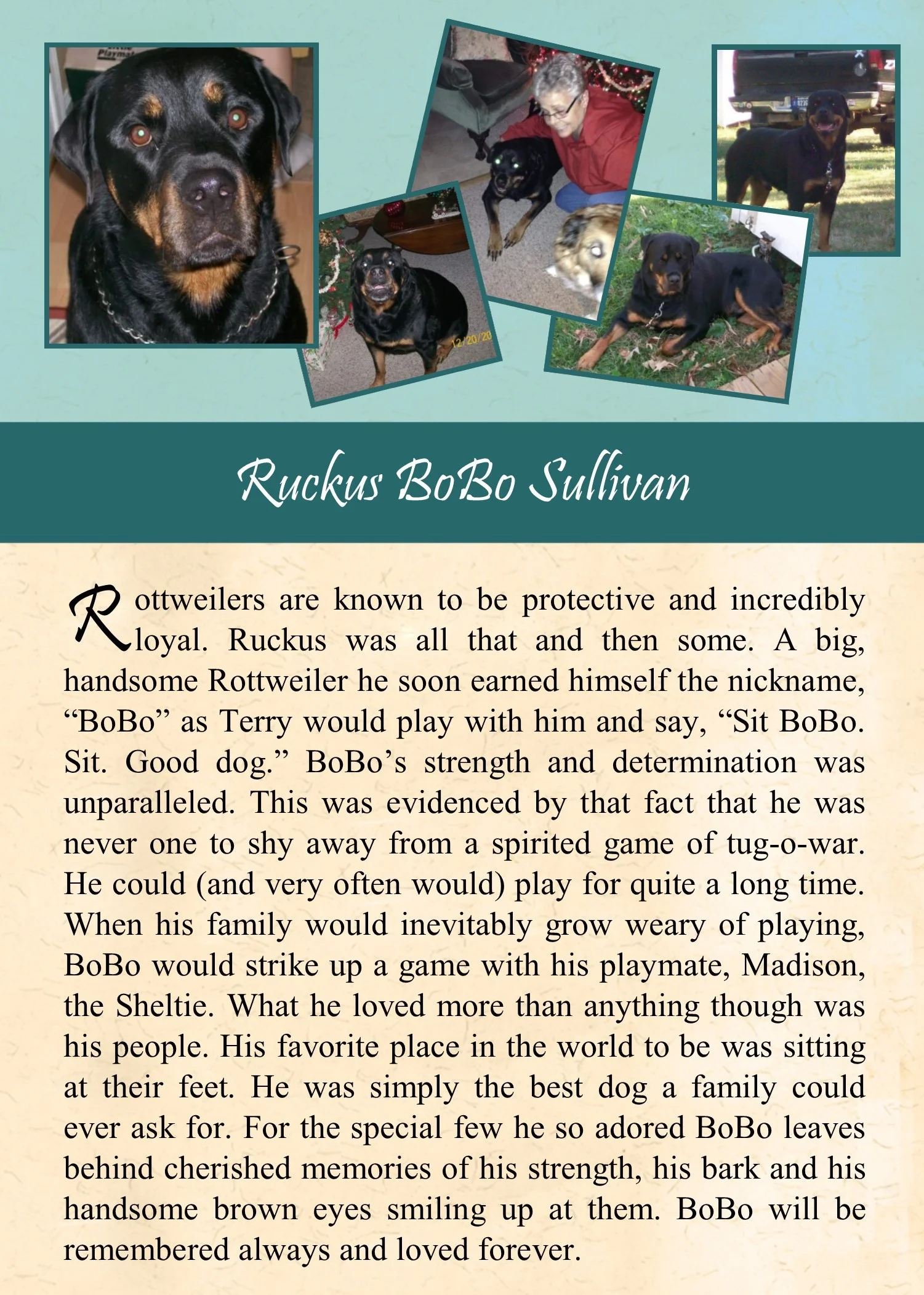 Ruckus Sullivan 2017-12-13.jpg