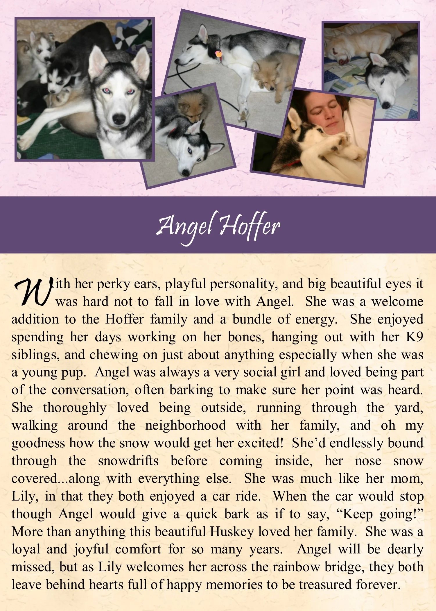 Angel Hoffer 2017-12-31.jpg