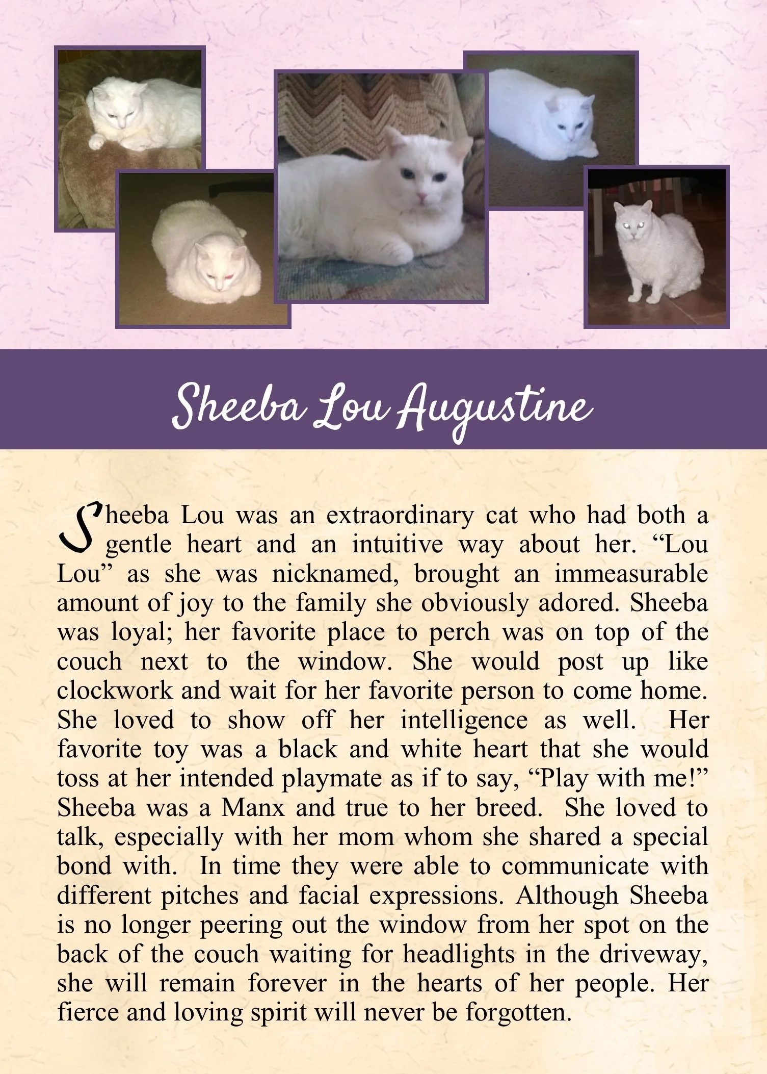 2017-12-28 Sheeba Augustine.jpg