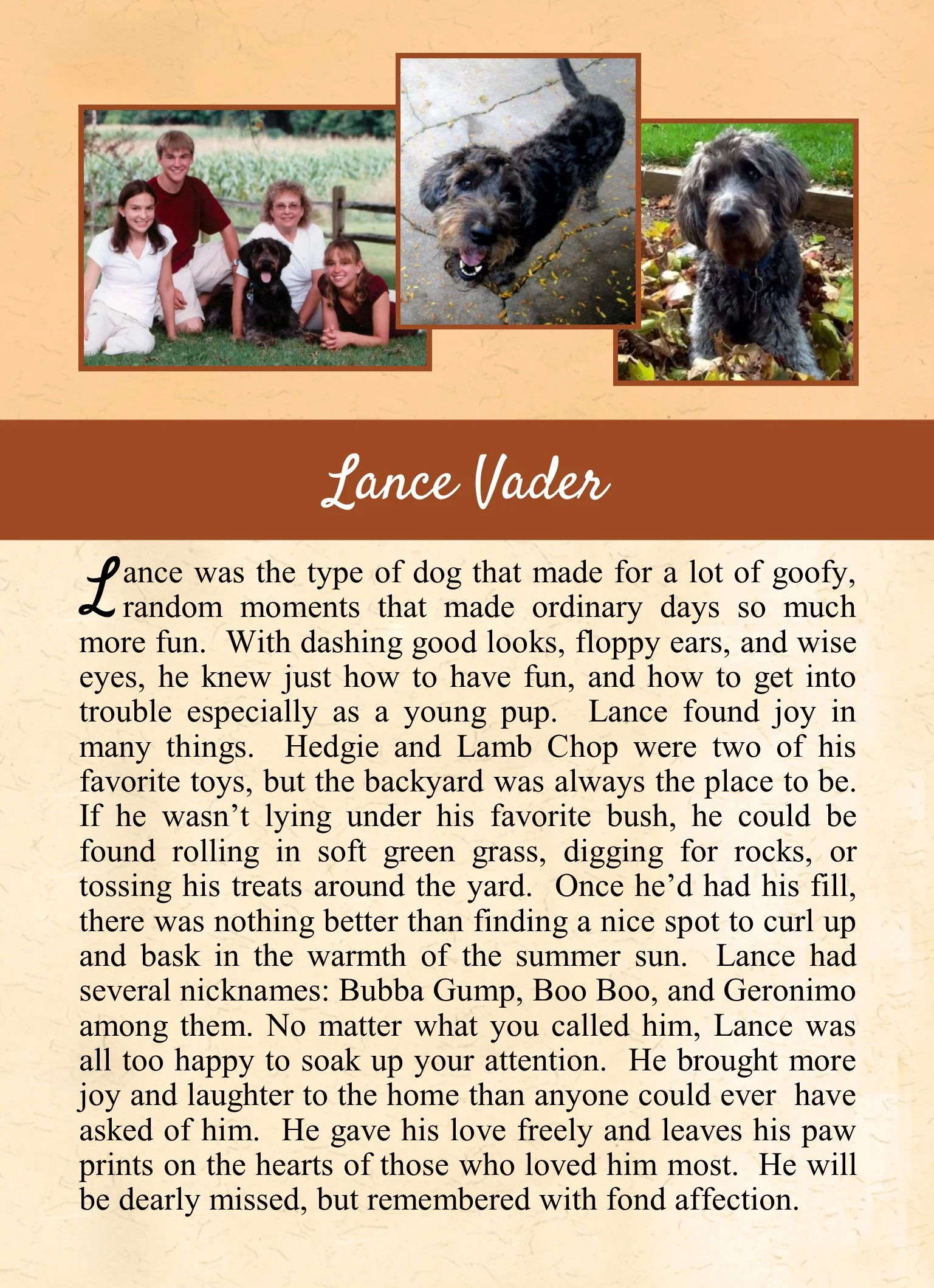 Lance Vader.jpg