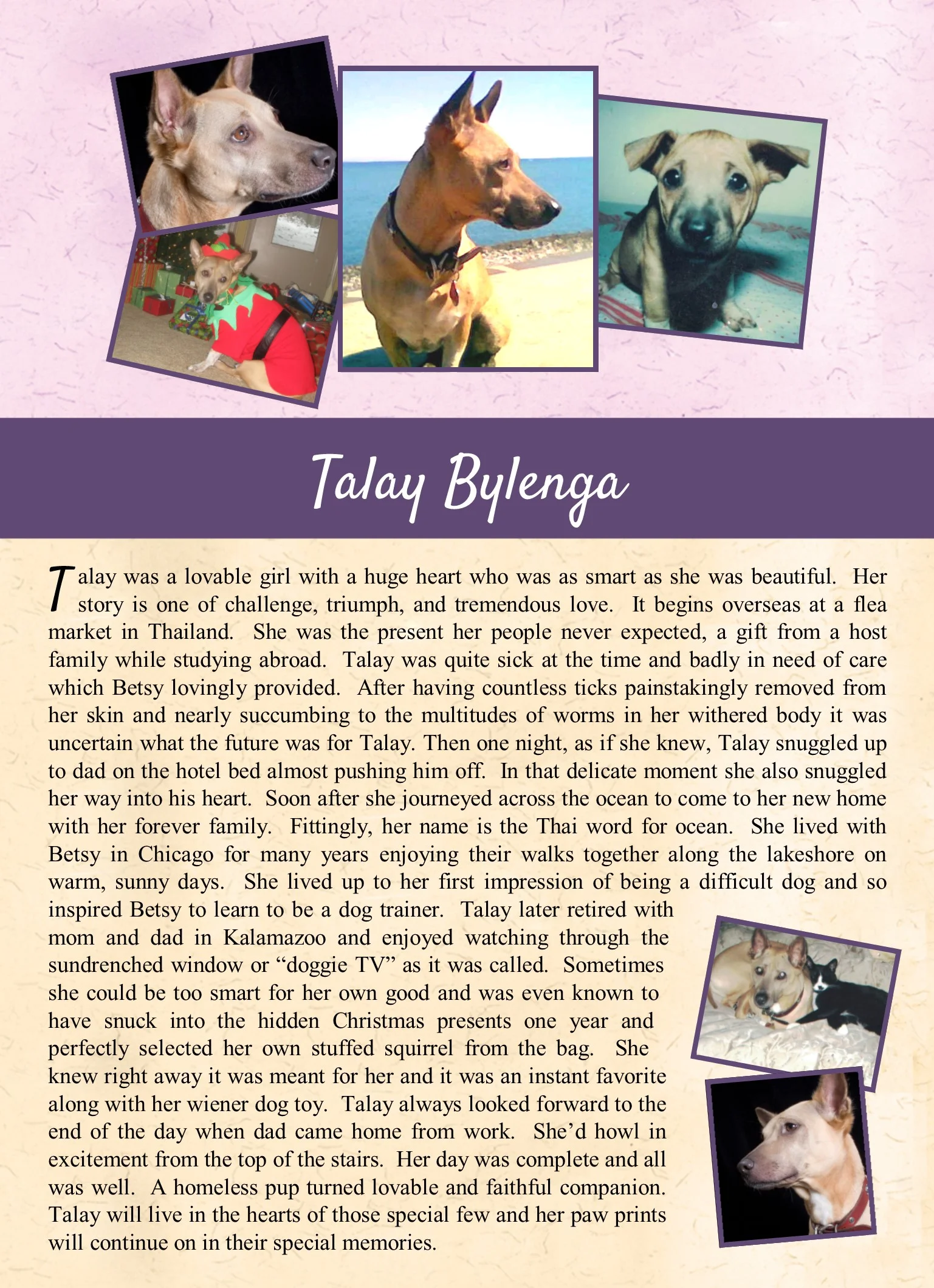 Talay Bylenga.jpg