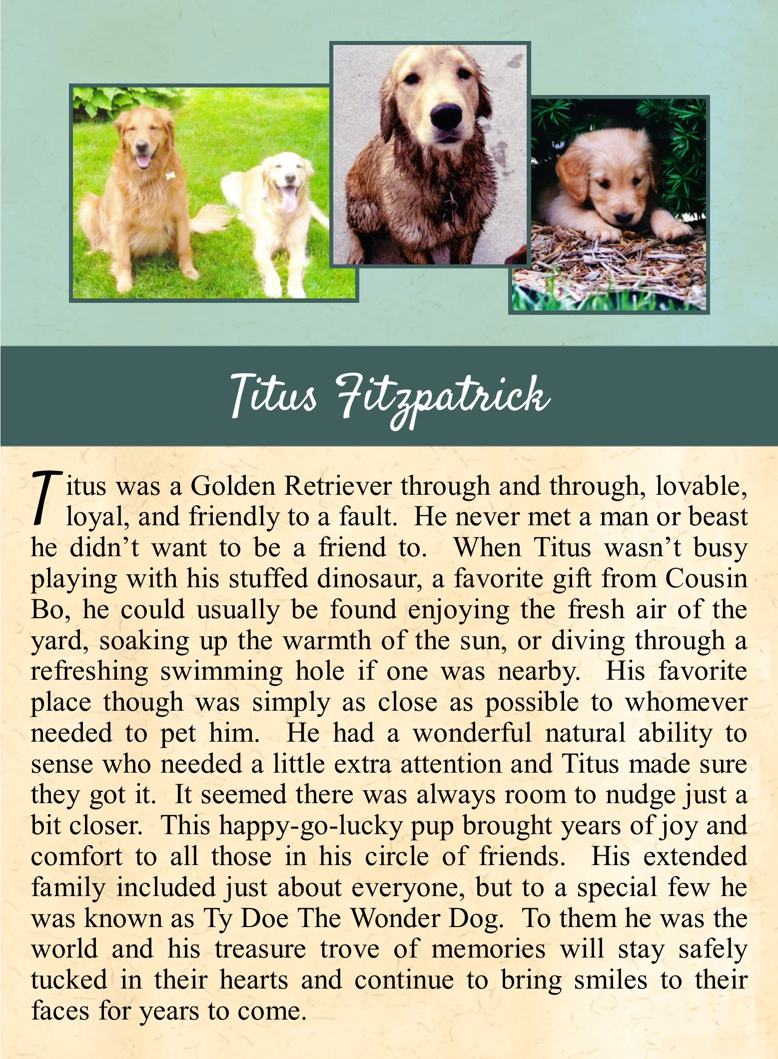 Titus Fitzpatrick.jpg