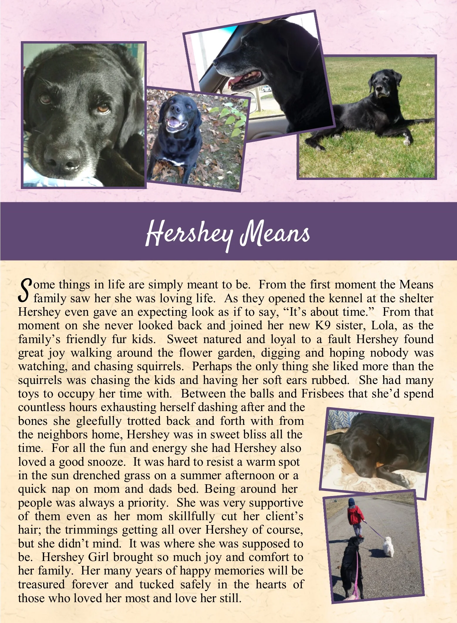 Hershey Means 2018-07-02.jpg