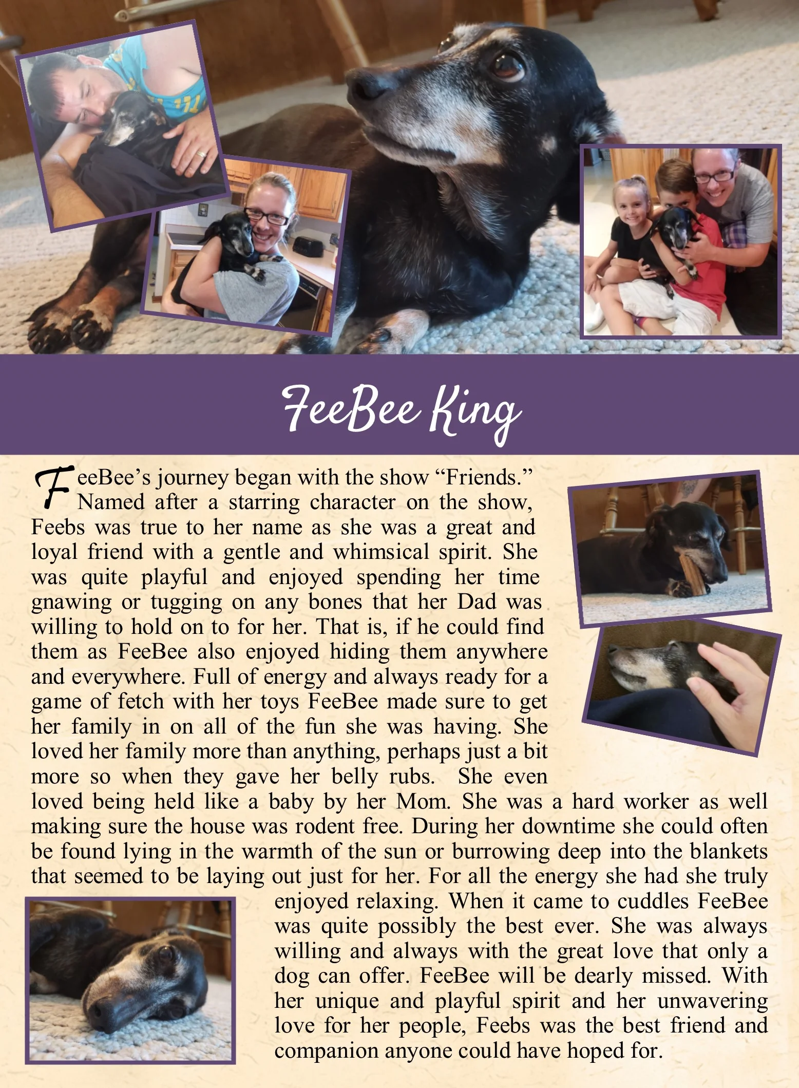 FeeBee King.jpg