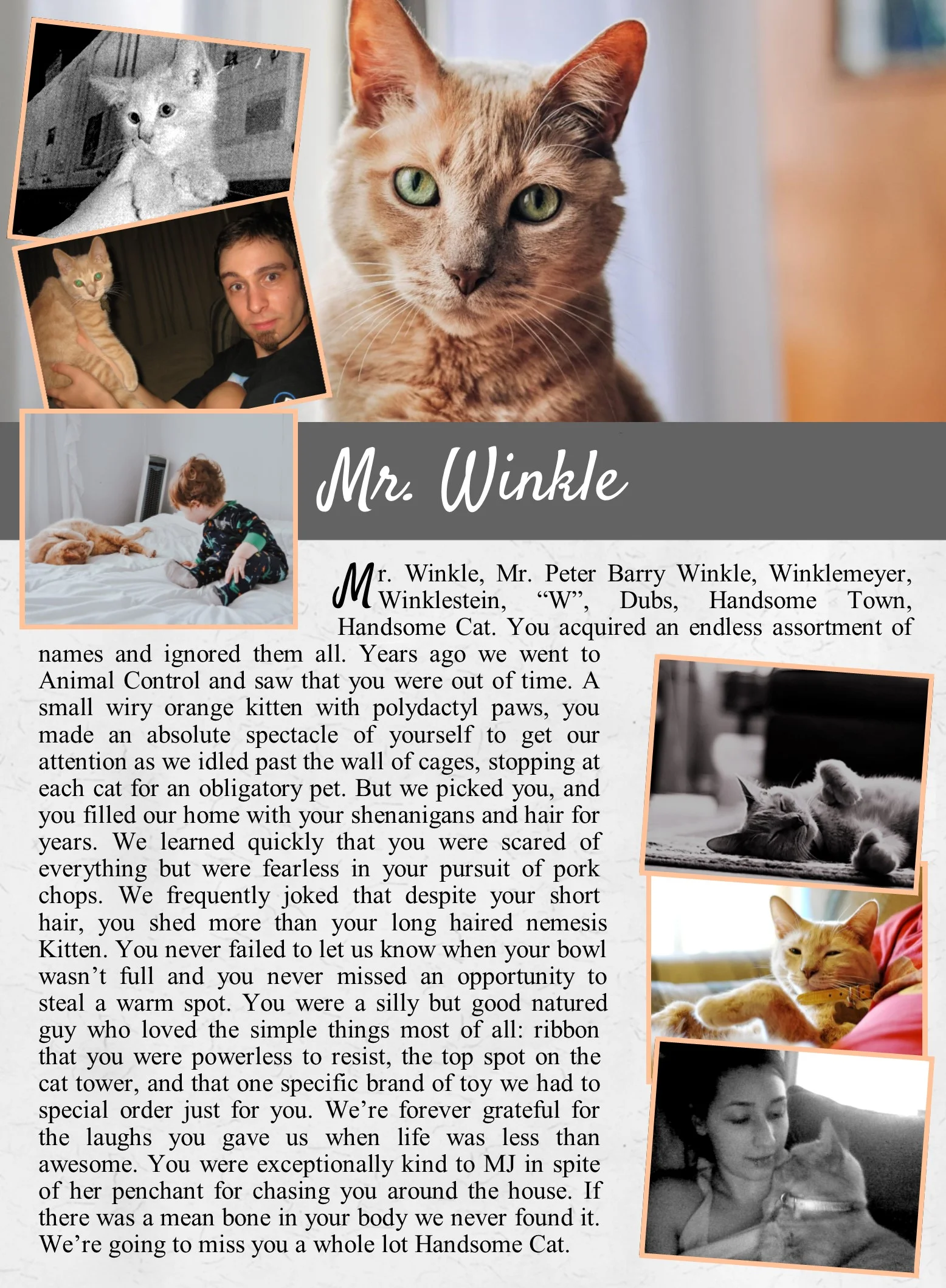 Winkle's Life Tail.jpg