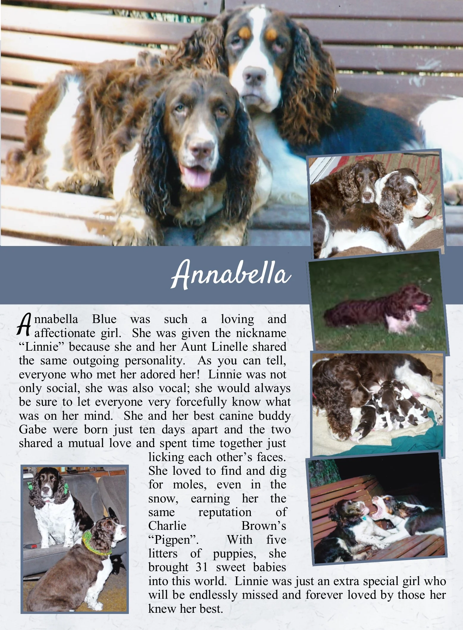 Annabella's Life Tail.jpg