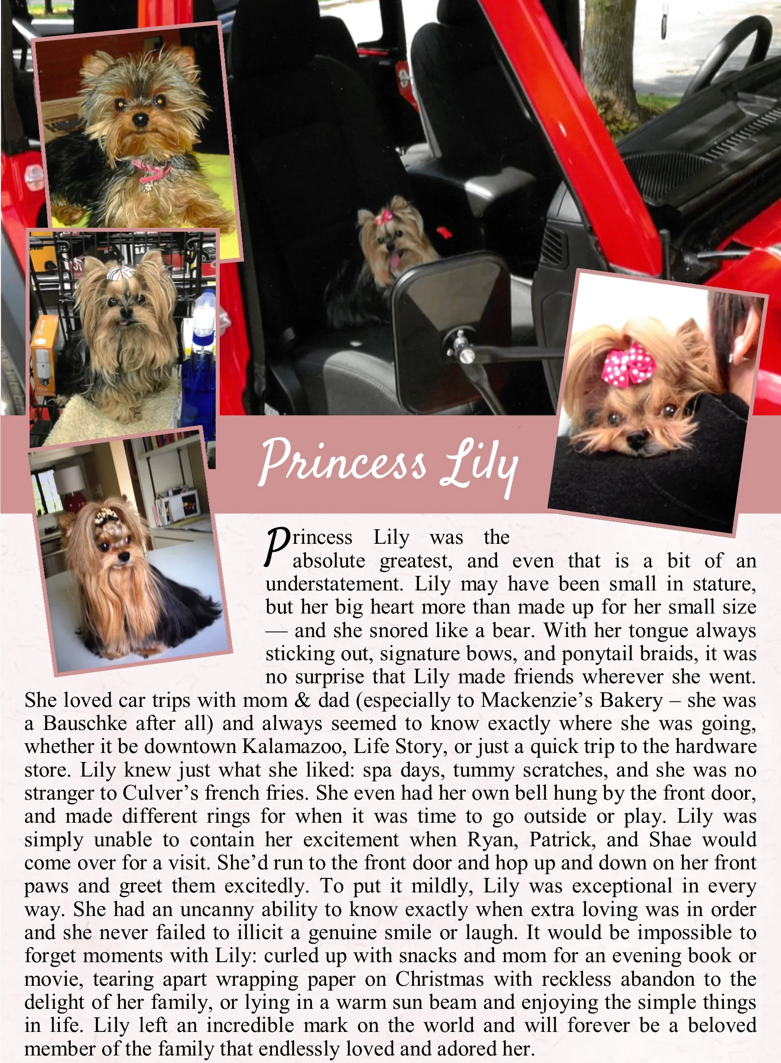 Princess Lily Life Tail.jpg
