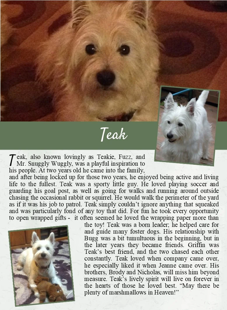 Teak's Life Tail.jpg