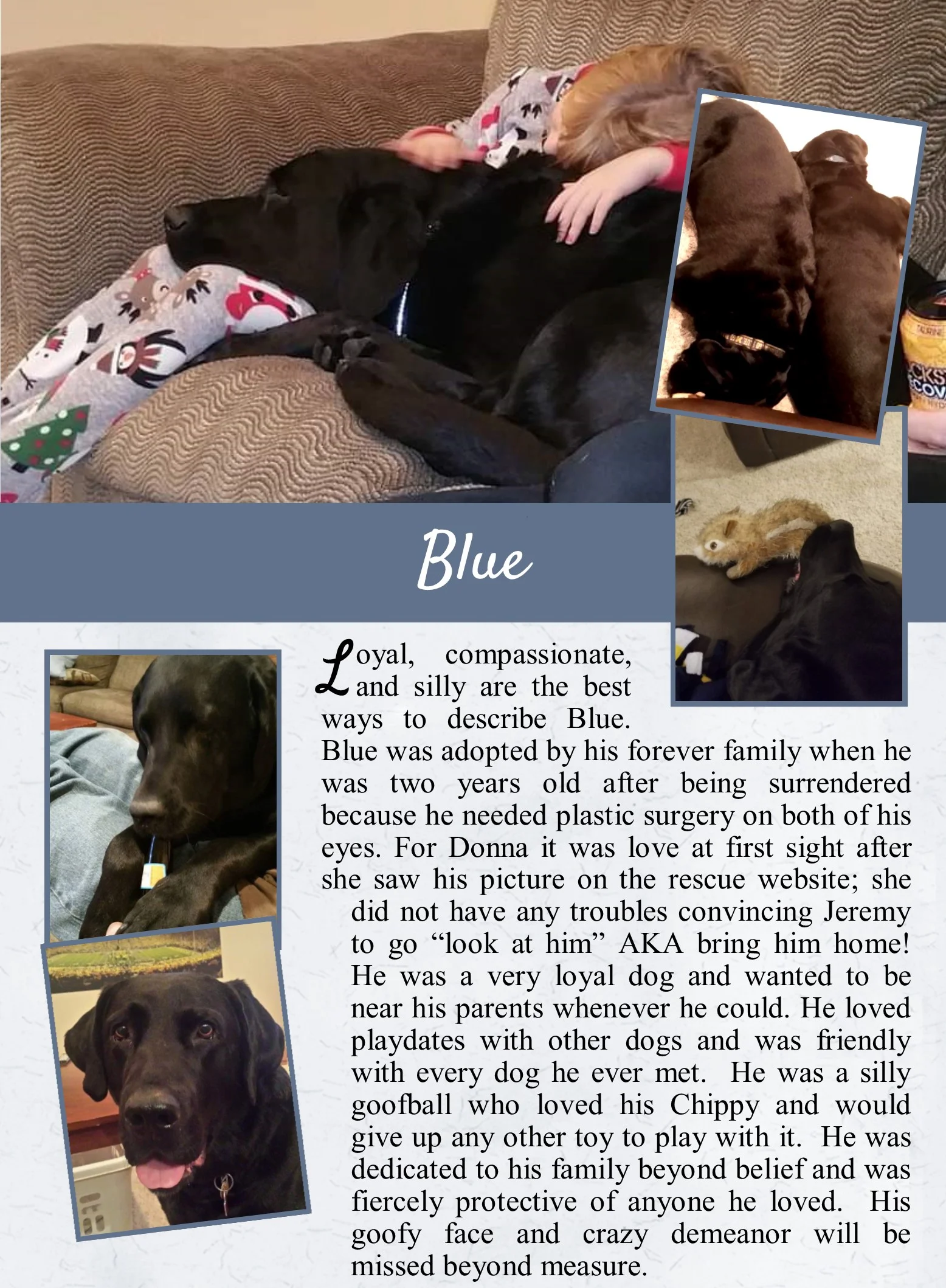Blue's Life Tail.jpg