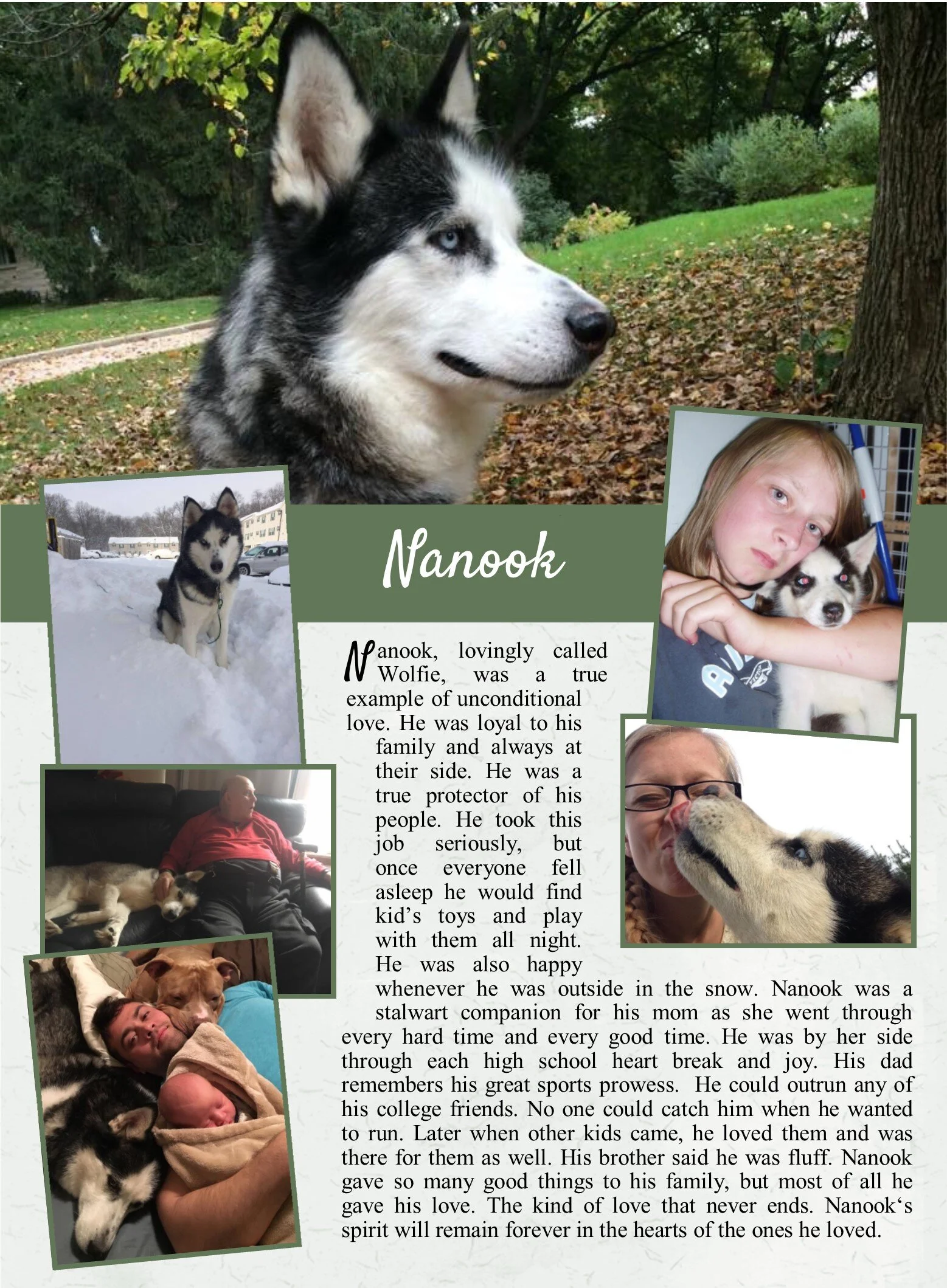 butler pet cremation