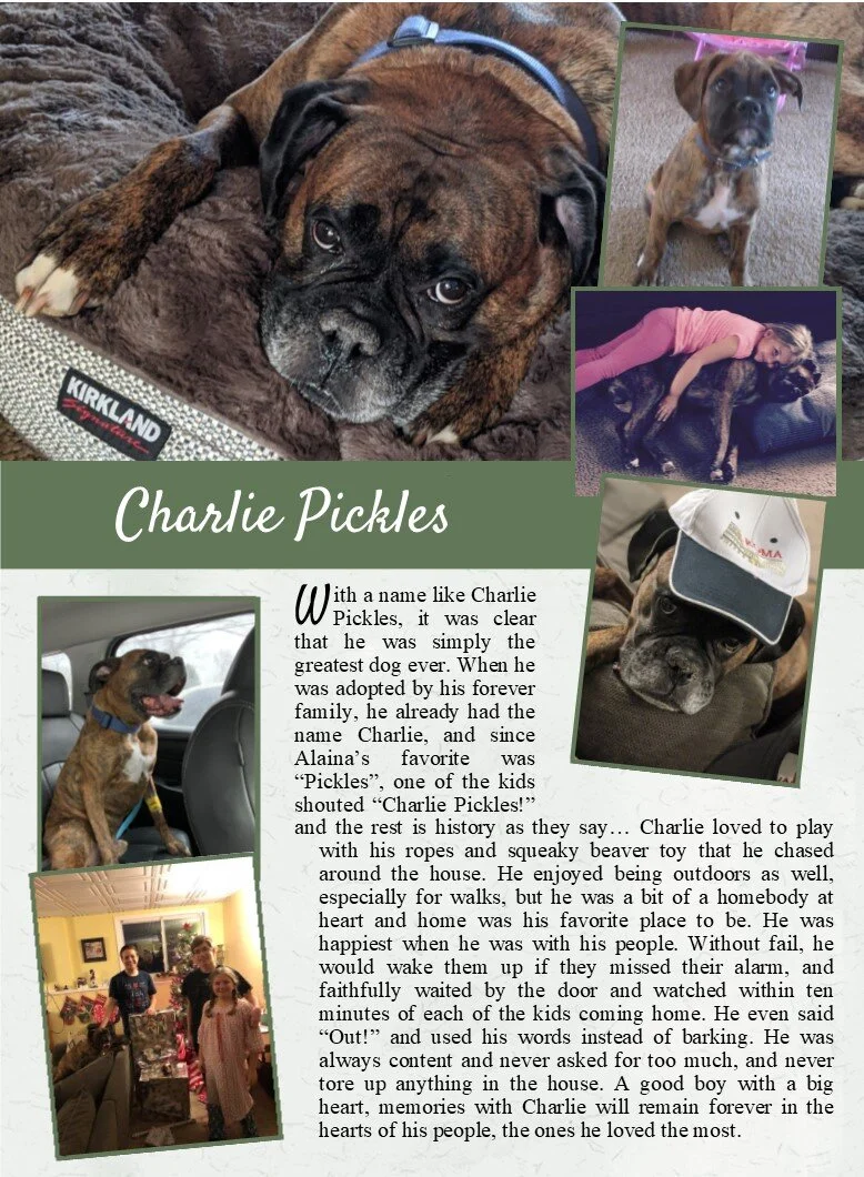 butler pet cremation