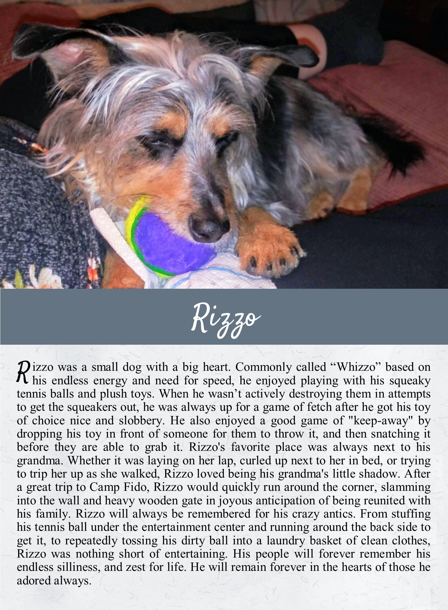 life tails pet cremation