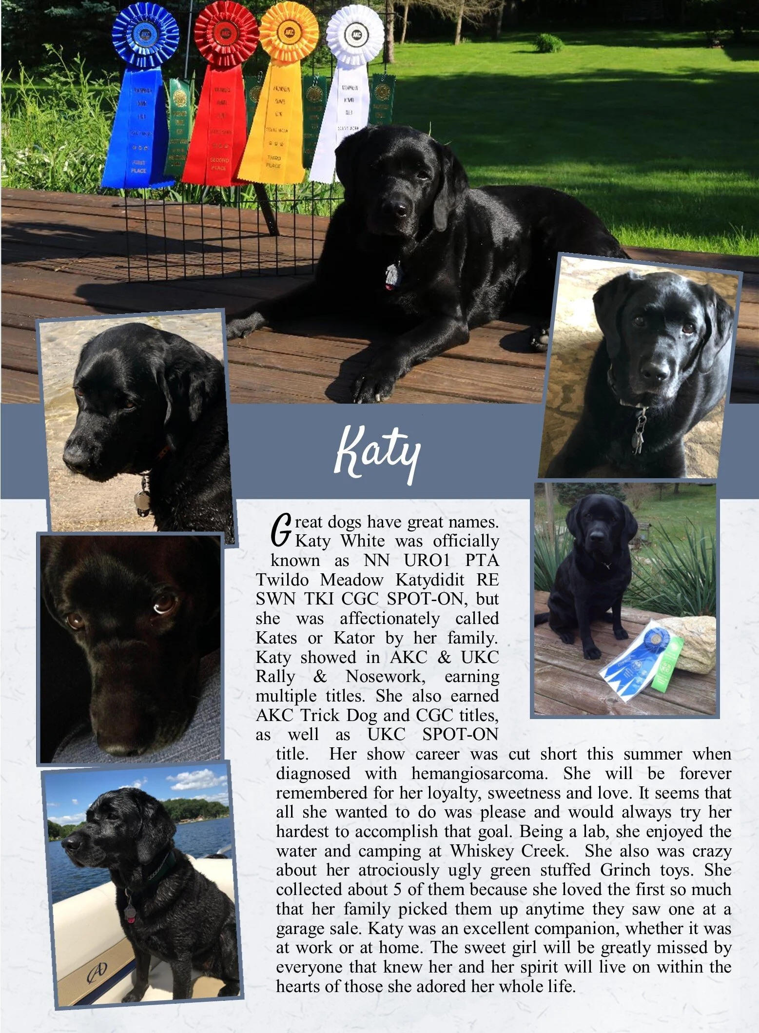 life tails pet cremation