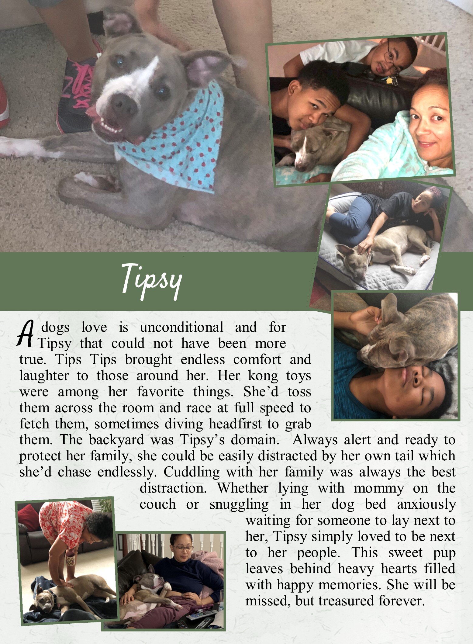 life tails pet cremation