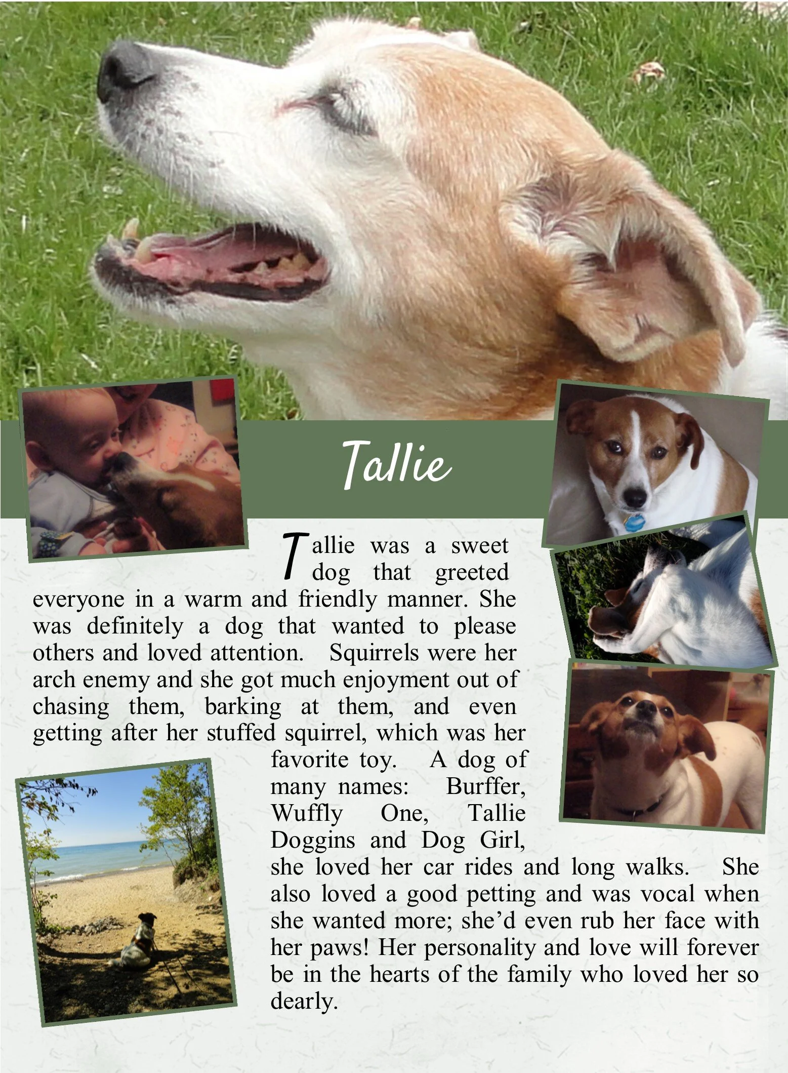 life tails pet cremation