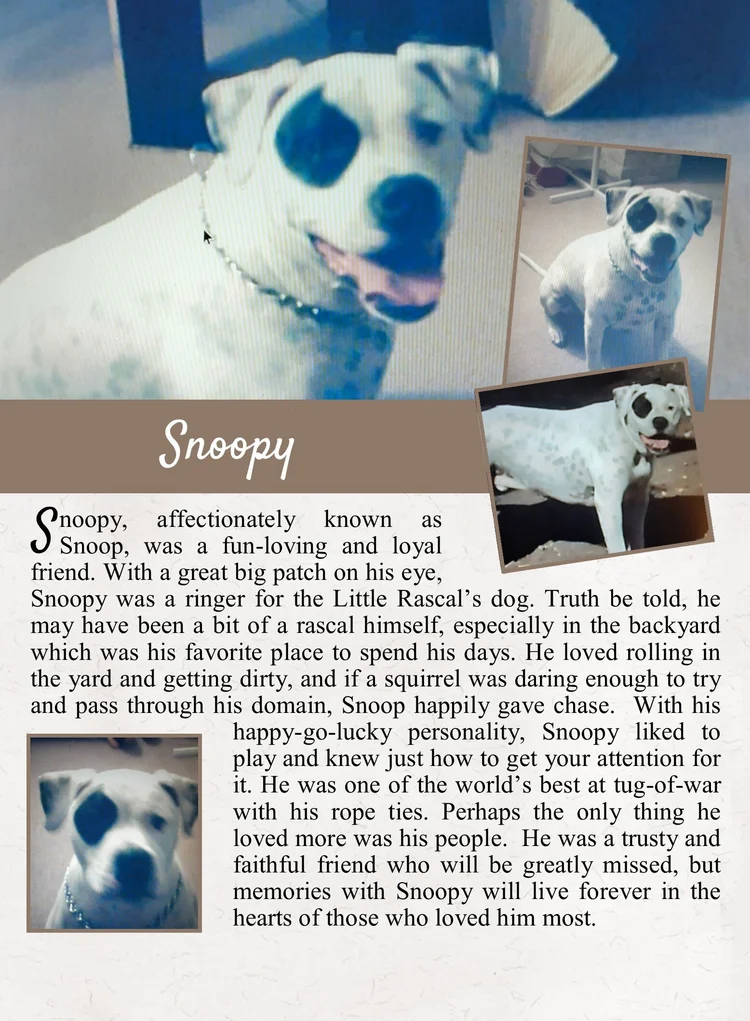 Snoopy Lee 21 03 10 Life Tails Pet Cremation