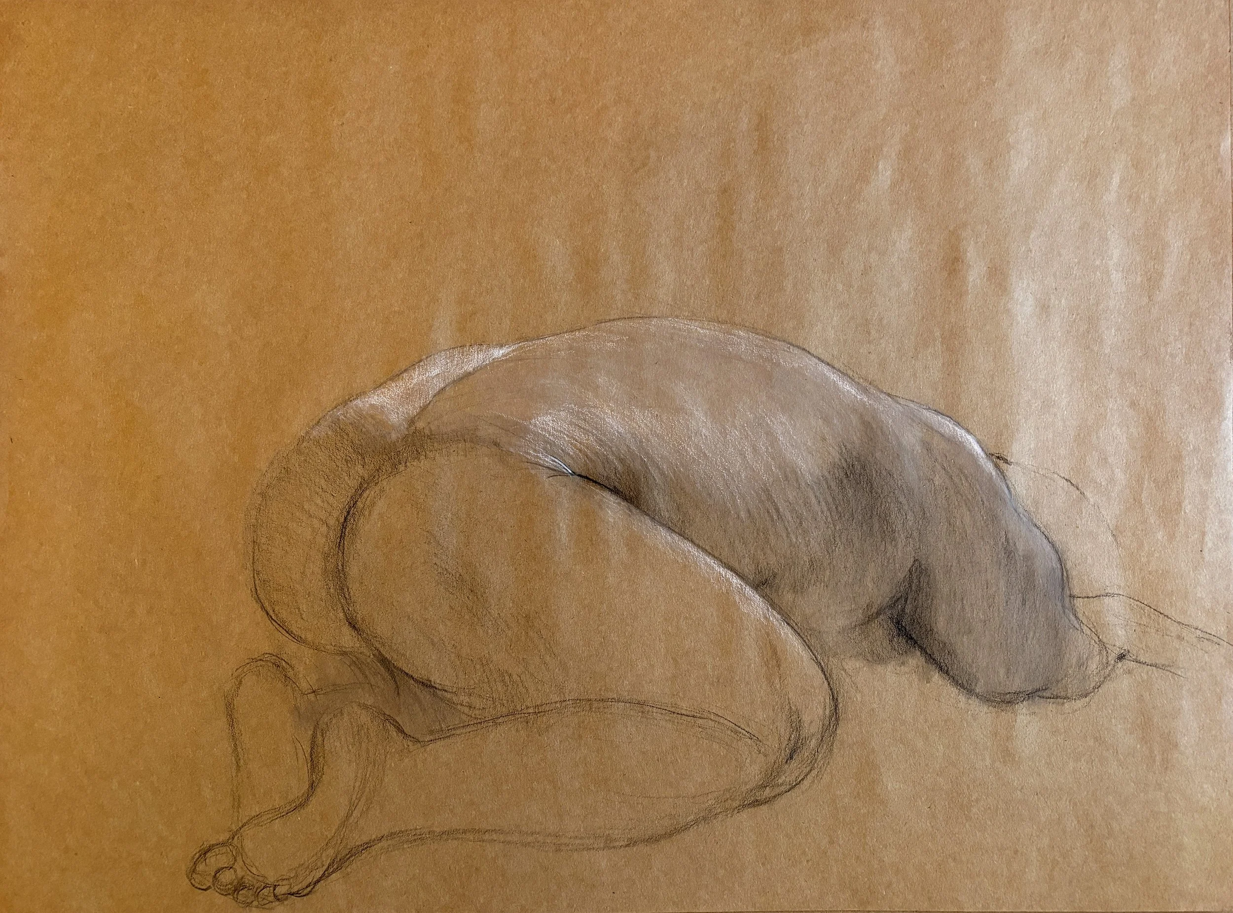 Charcoal on kraft paper