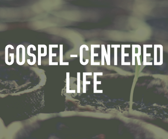 The Gospel-Centered Life (2010)