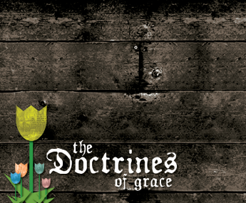 The Doctrines of Grace (2011)