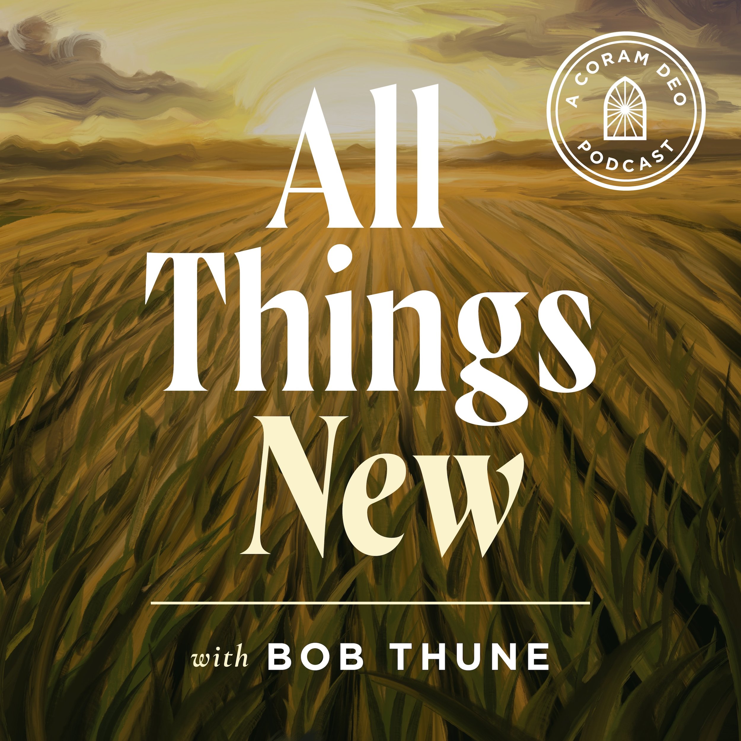 Episode 1: Meta Fail