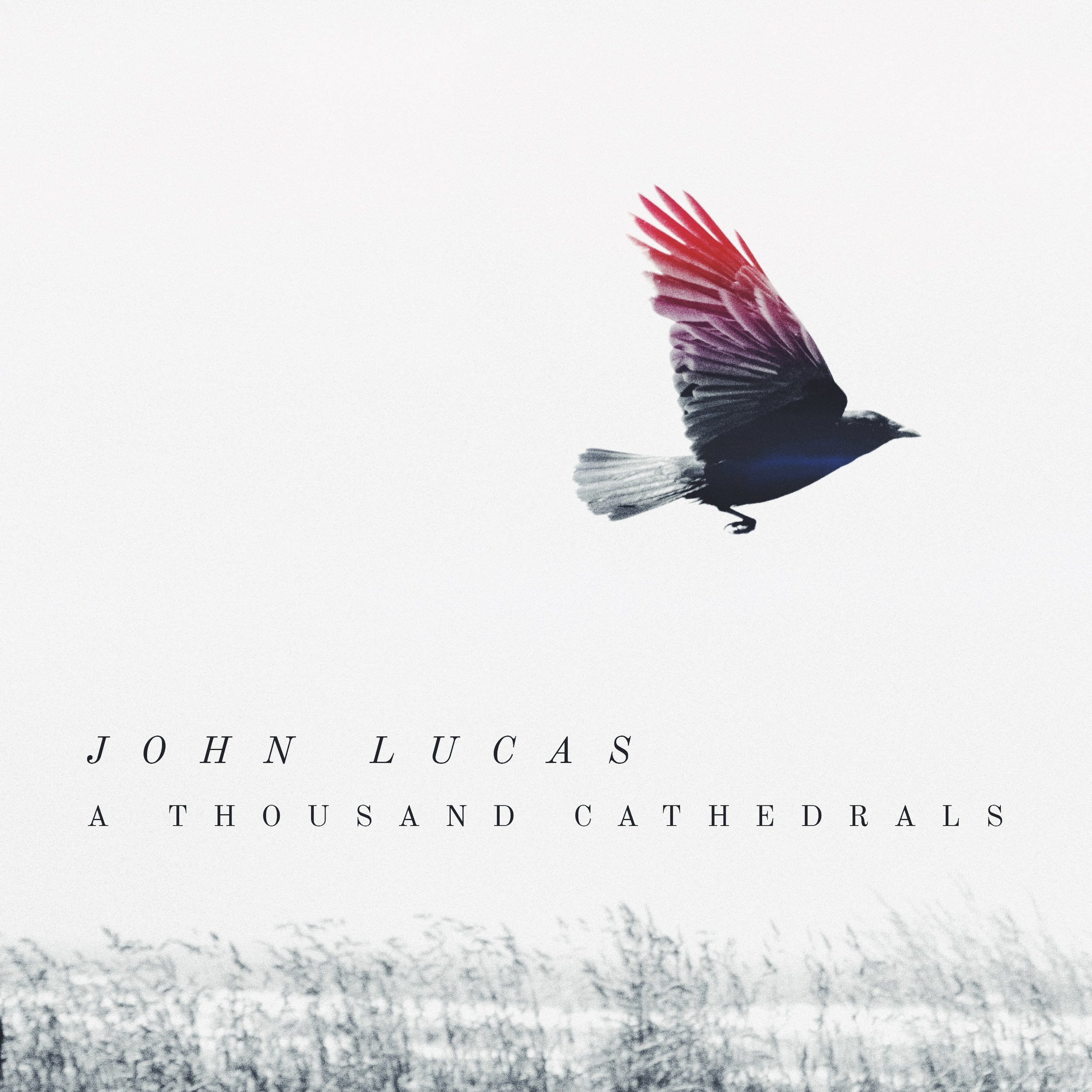 Cathedrals Album cover.jpeg