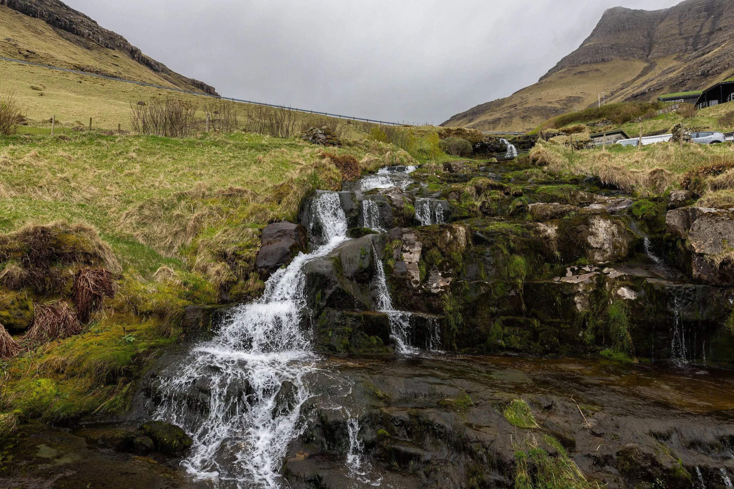 _FAC5569.jpg
