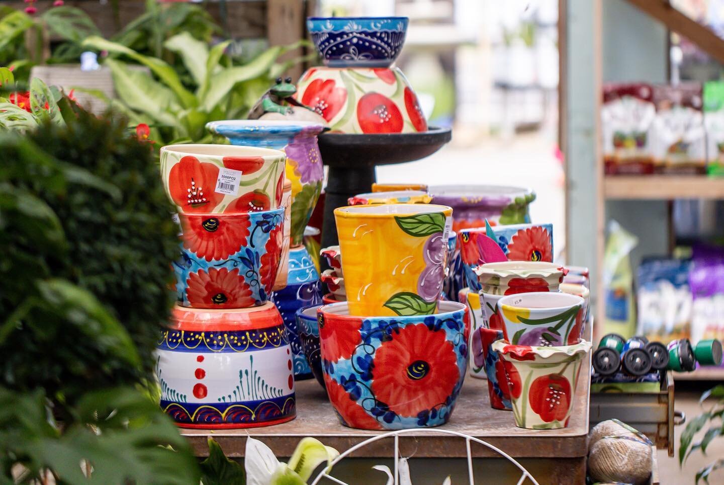 We are so excited about our new line of pots from @sunshineceramica! Incorporating Spanish style with modern design, these pots are hand painted by Artisans, making each piece truly unique. Made in the heart of Spain, these designs bring vibrant colo