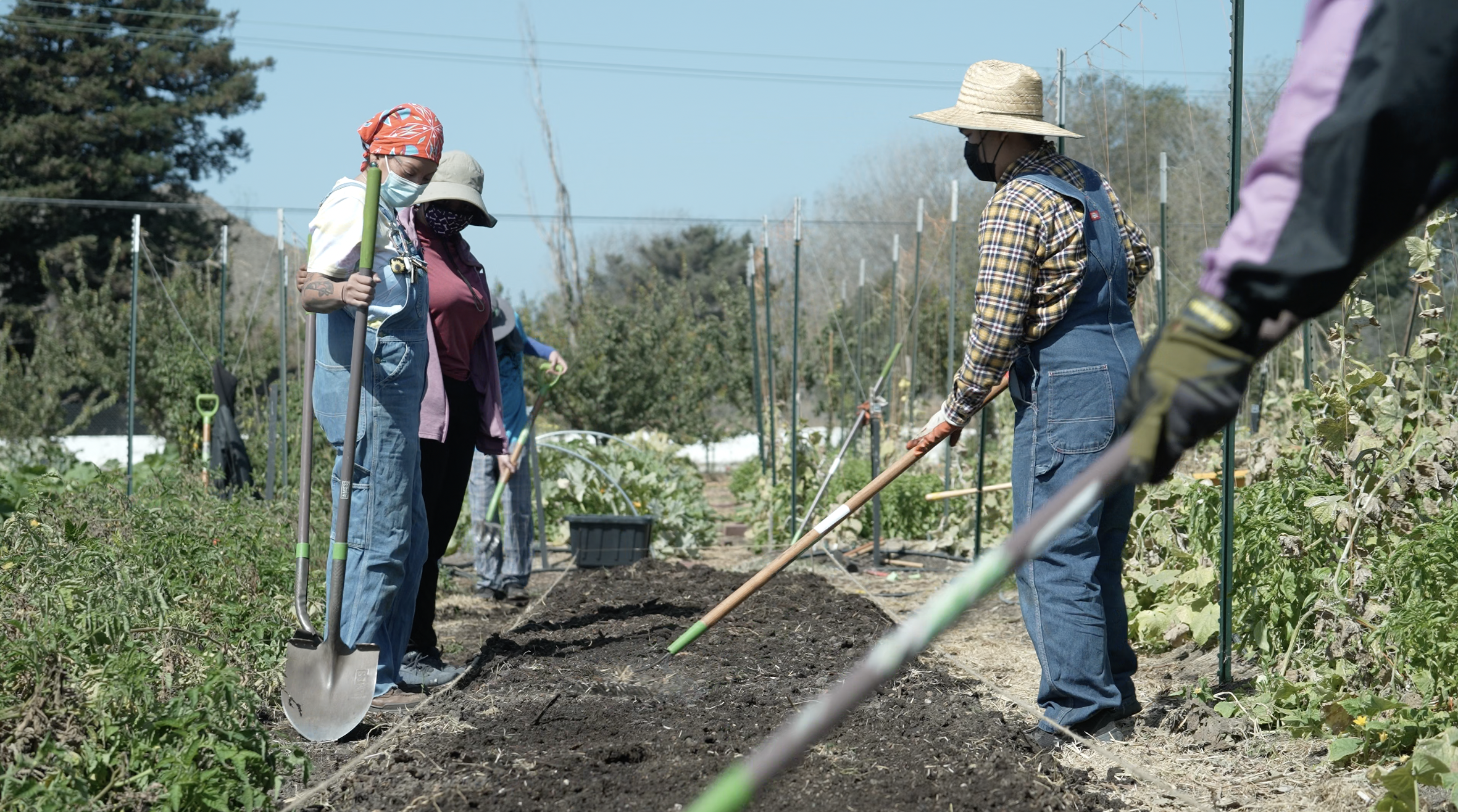 Screen Shot 2022-03-16 at 1.33.24 PM.png