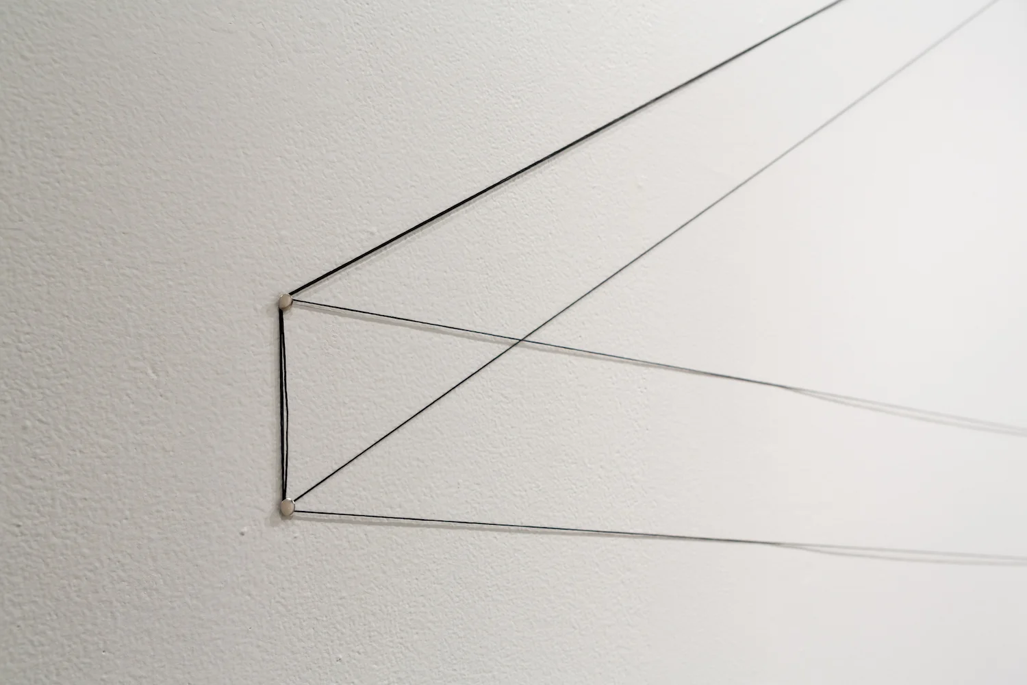 The-New-Border-Installation-by-Luisa-Duarte-5.jpg