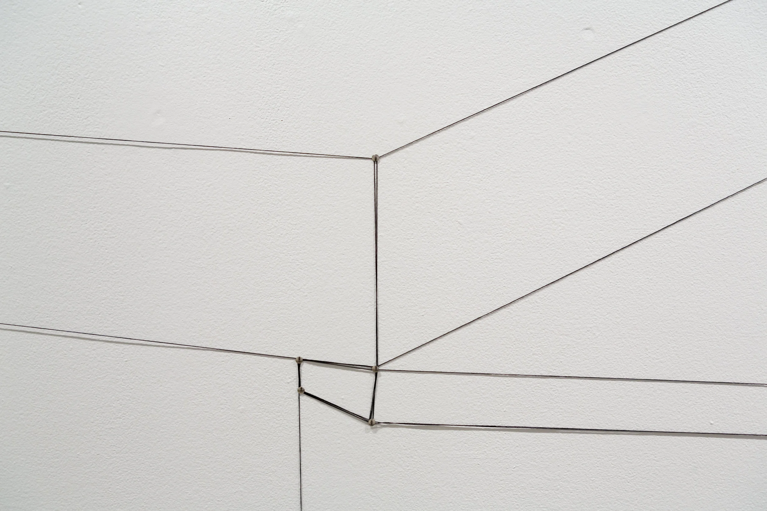 Detail from The New Border by Luisa Duarte. Site specific installation at Art League Houston. 10’ x 76’. Wax thread and thumbtacks.