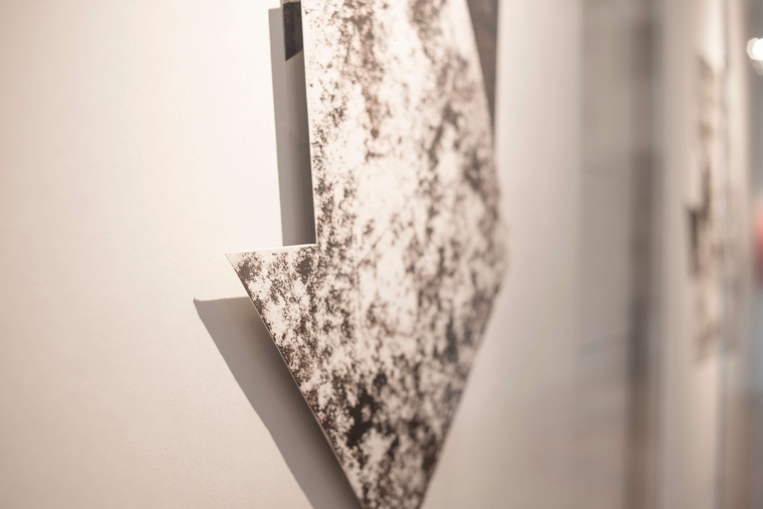 Luisa-Duarte-Alternate-Pathways-19.jpg