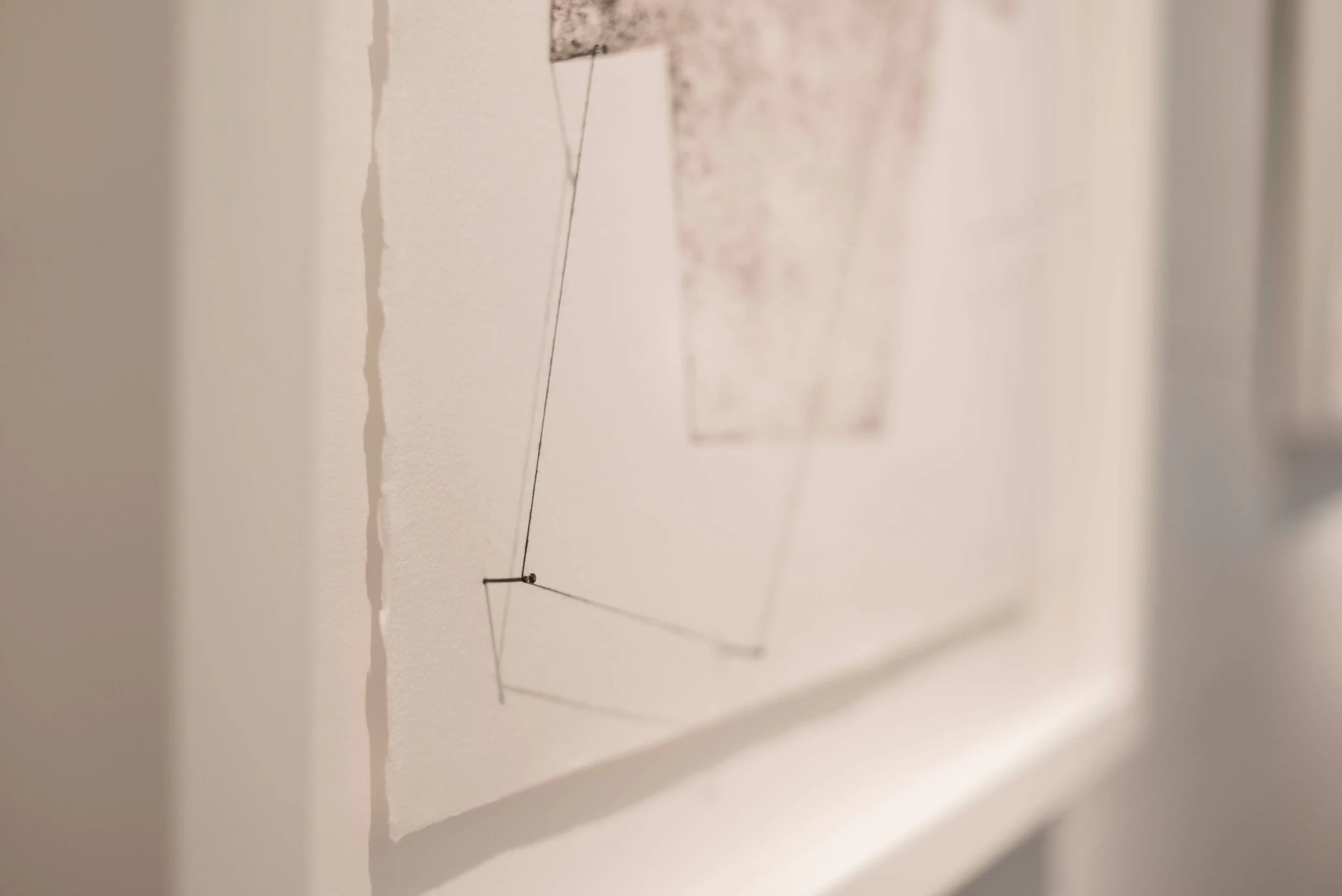 Luisa-Duarte-Alternate-Pathways-17.jpg